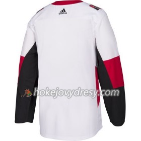 Pánské Hokejový Dres Ottawa Senators Blank Adidas Bílá Authentic
